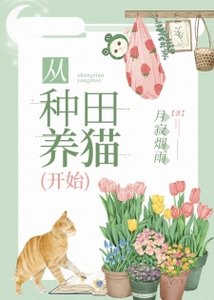 从种田养猫开始
